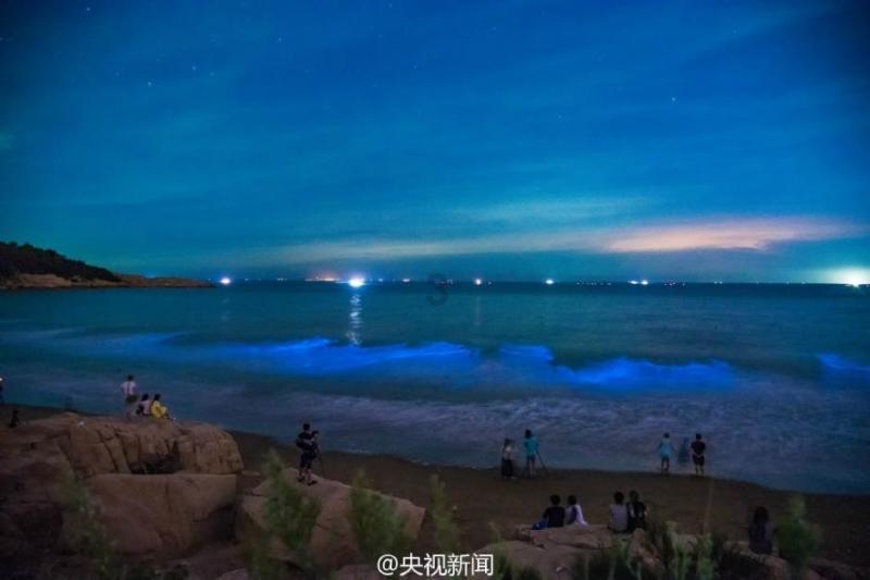 寻找游泳套件