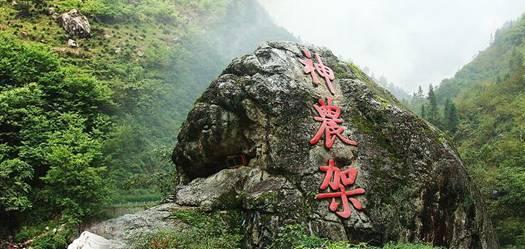深冬这样吃 开春身体好